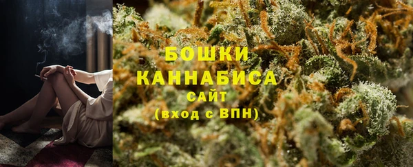 винт Богданович