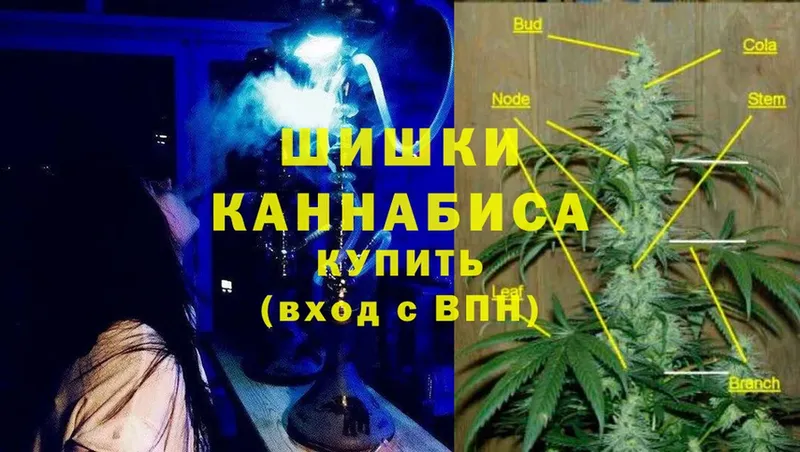 Конопля LSD WEED  Сортавала 